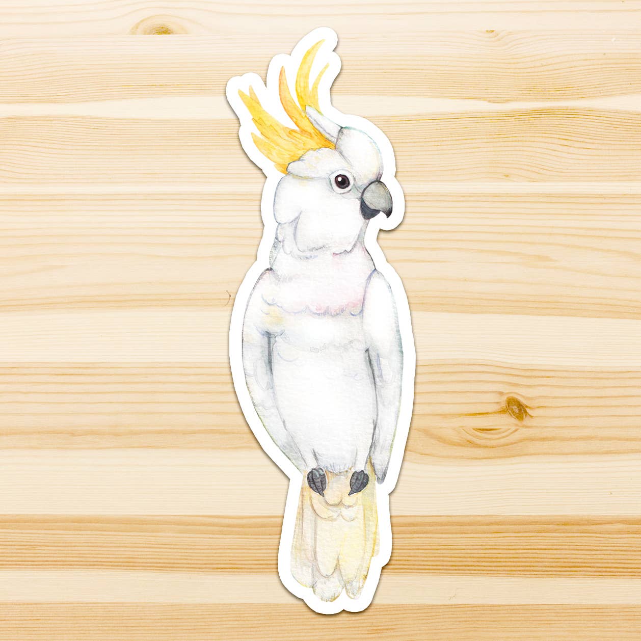 Watercolour By Cat - Vendita all'ingrosso Adesivo - Adesivo in vinile con grande uccello australiano3