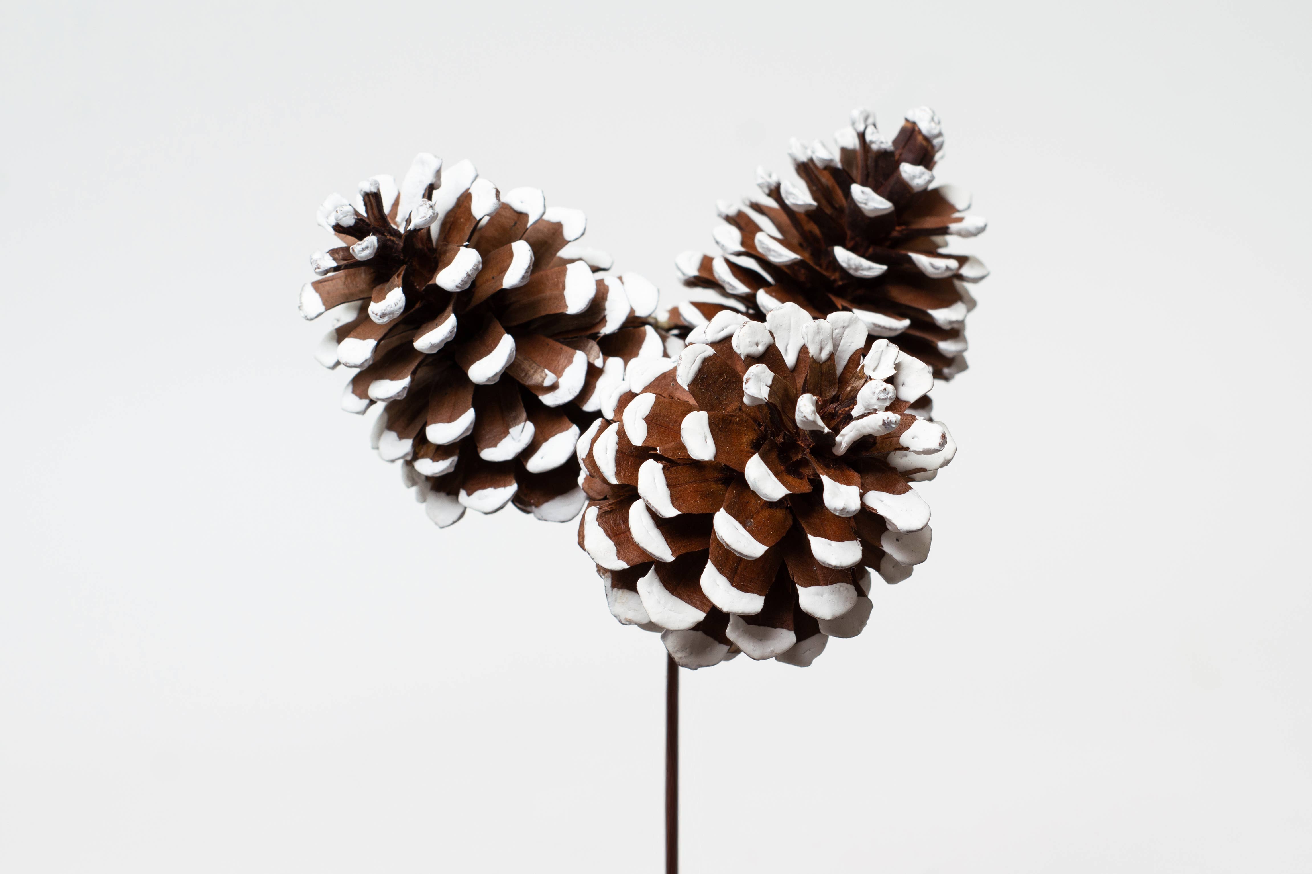 Jacobson - Wholesale Christmas Decoration - 8" OAL Pinecone on Barbed Pick0