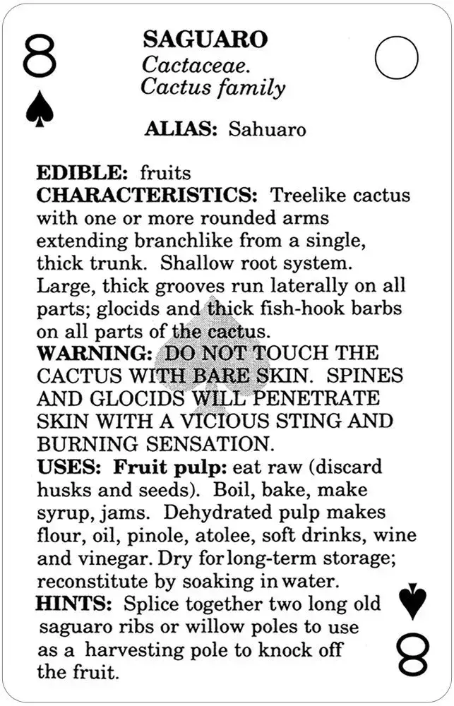 U.S. Games Systems Inc. – Cartas de jogar por atacado – Cartas de Baralho Comestíveis Wild Foods2