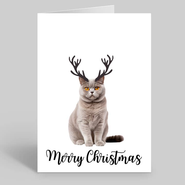 Set of 10 British Shorthair Xmas Cards - Envelopes Included for wholesale by We Are Positive Prints