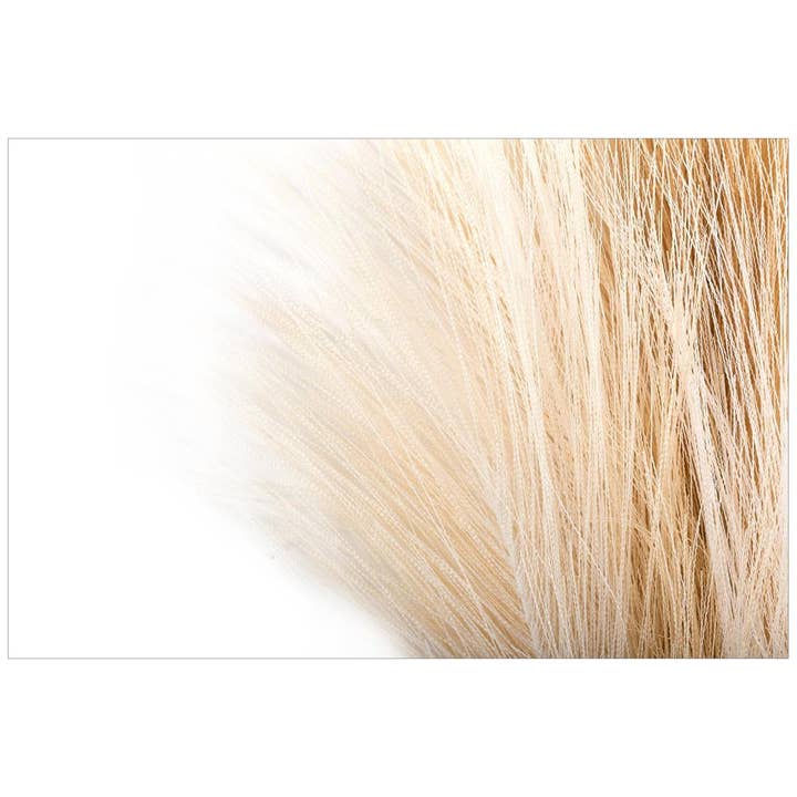 Truu Design - Wholesale Dried/Pressed Flowers - Truu Design Faux Pampas Grass Stem, Brown, 28"
