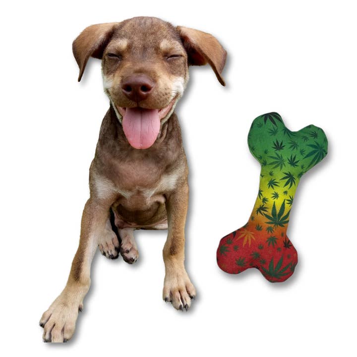 PAW:20 - Wholesale Pet Squeaky Toy - Dog - Stoned to da Bone, Cute Stuffed Rasta Leaf Bone Dog Toy6