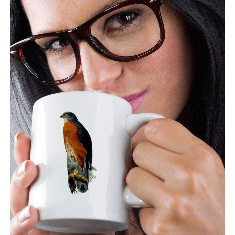 3dRose - Wholesale Coffee Mug - 3dRose, Majestic Red chested Goshawk Bird of Prey Vintage Art Hawk Hawks Birds, Mug9