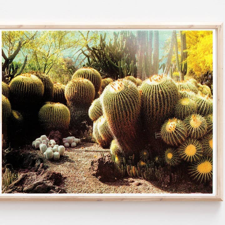 Huntington Cacti I Risograph Print Poster for wholesale by Back of Beyond Press