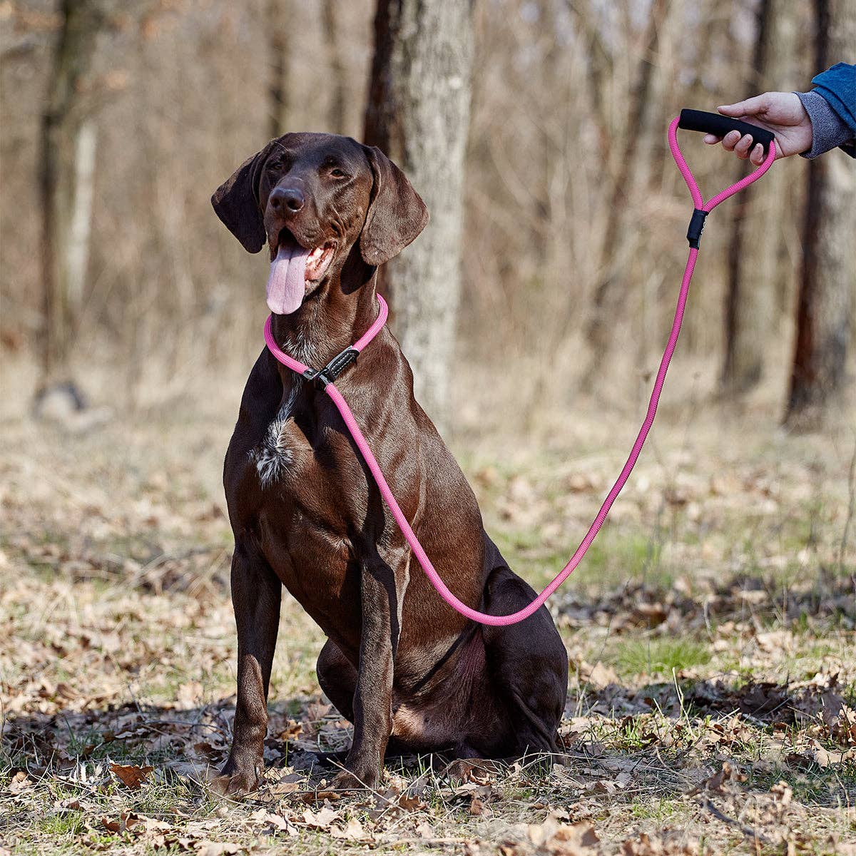 Dogline - Vente Laisse – chien - Laisse coulissante ronde en nylon15