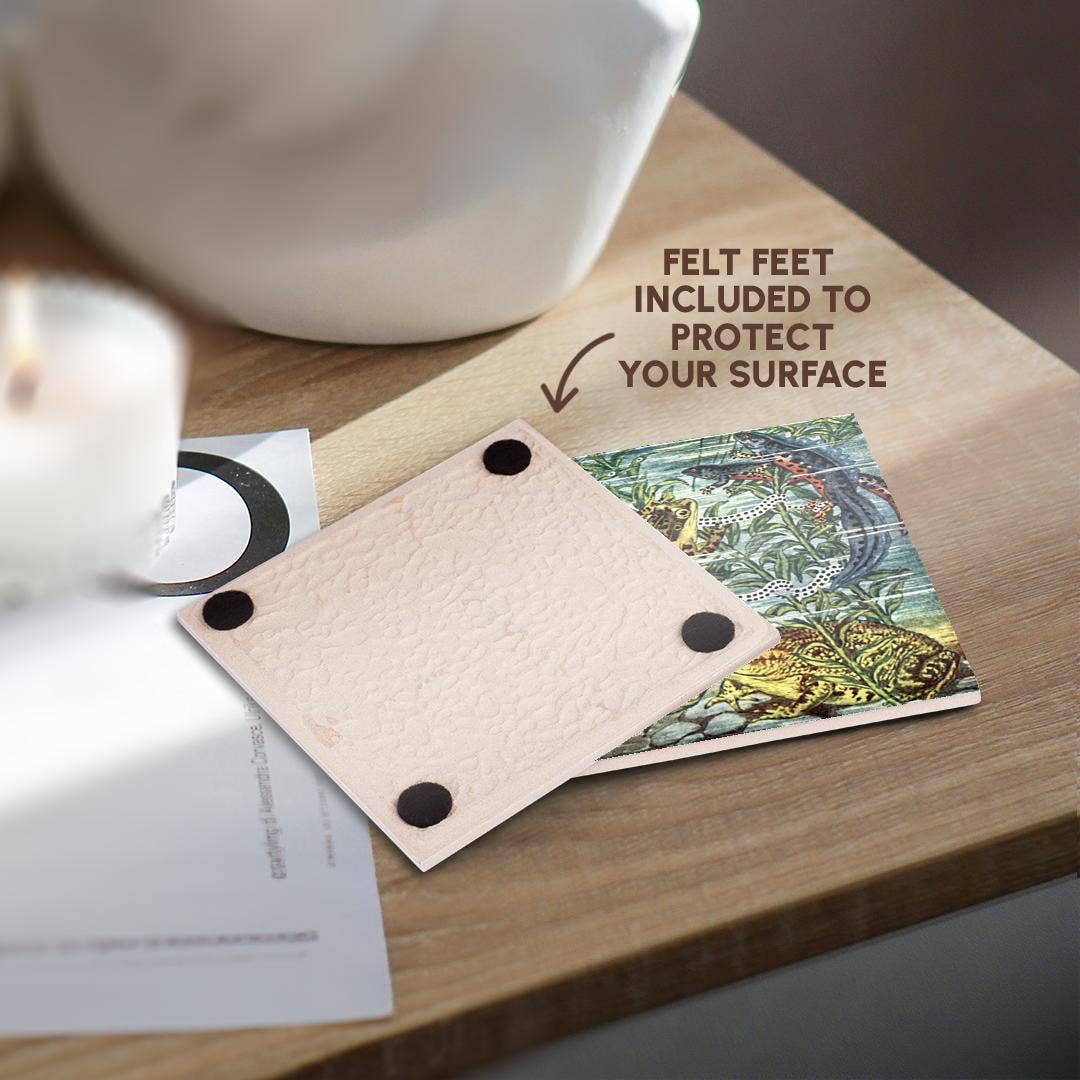 3dRose - Wholesale Onderzetters - 3dRose, Kikker Padden Salamanders en Kikkervisjes Antieke Vintage Zoölogie Illustratie Kunst, Onderzetter3