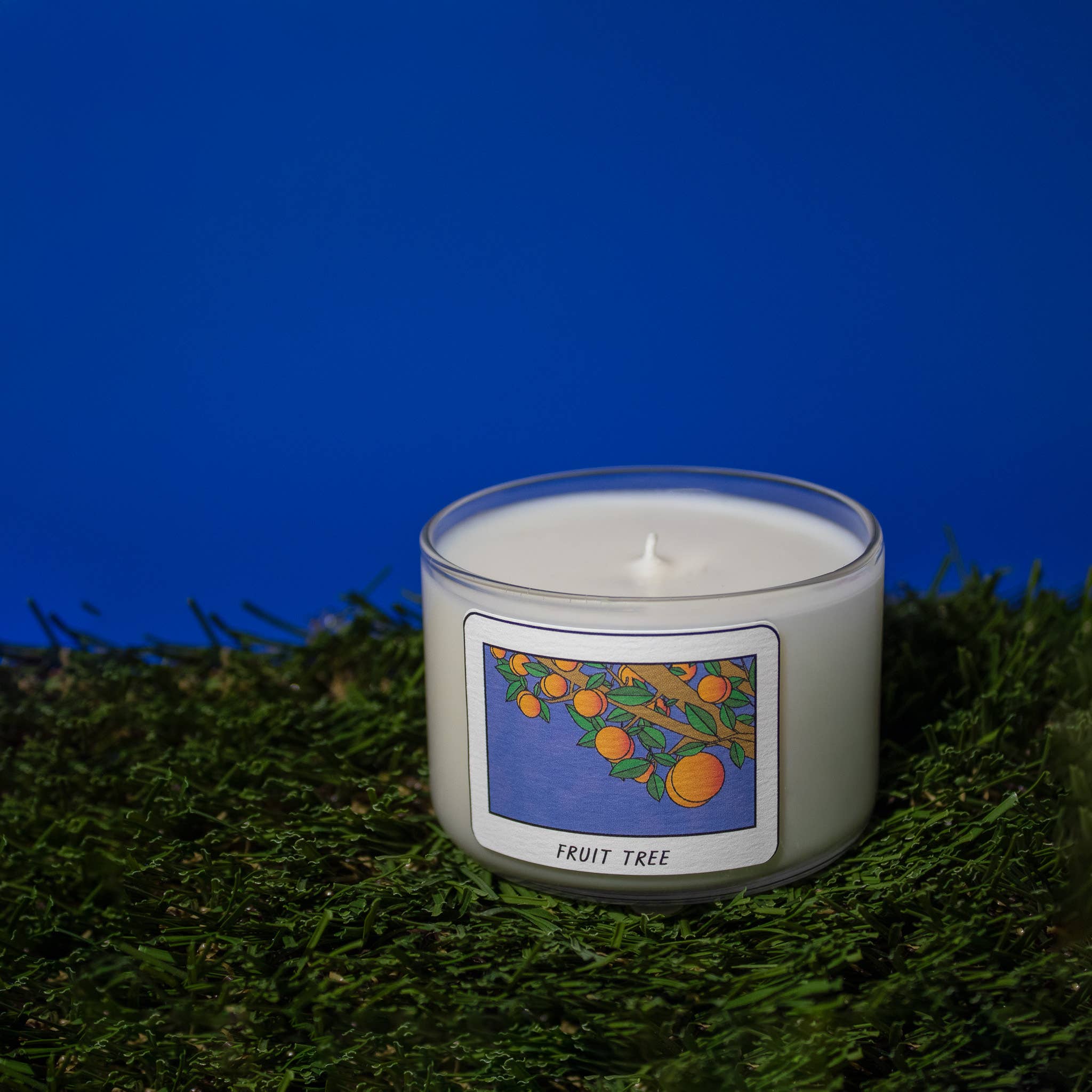 Fresa Creative - Wholesale Jar/Filled Candle - Fruit Tree / Apricot Mini Candle / Latina + Midwest Inspired1