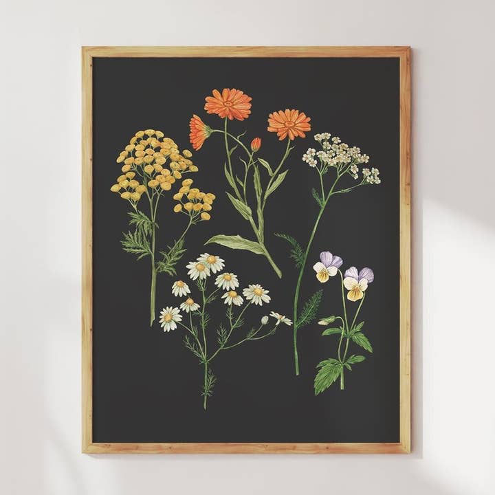 Herbalisme Mørk botanisk kunsttryk for engroshandel hos Anna Farba Illustration
