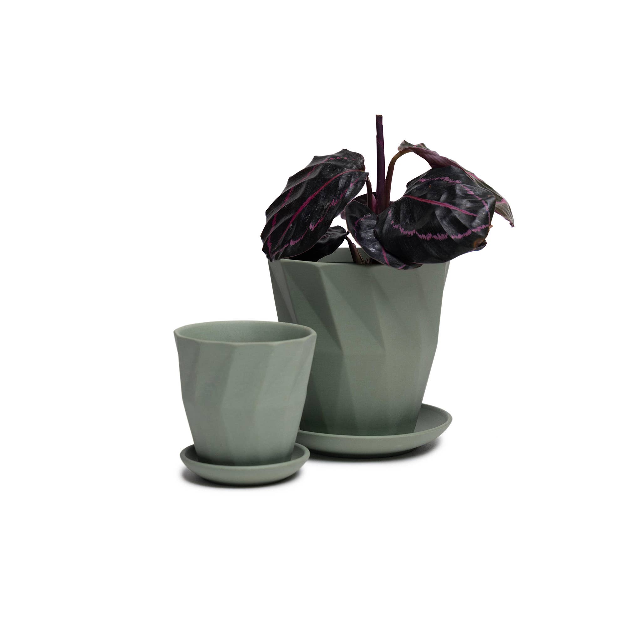 Chive - Wholesale Plant Pot - Handmade Ceramic Virago Pots | Artisan Plant Planters52