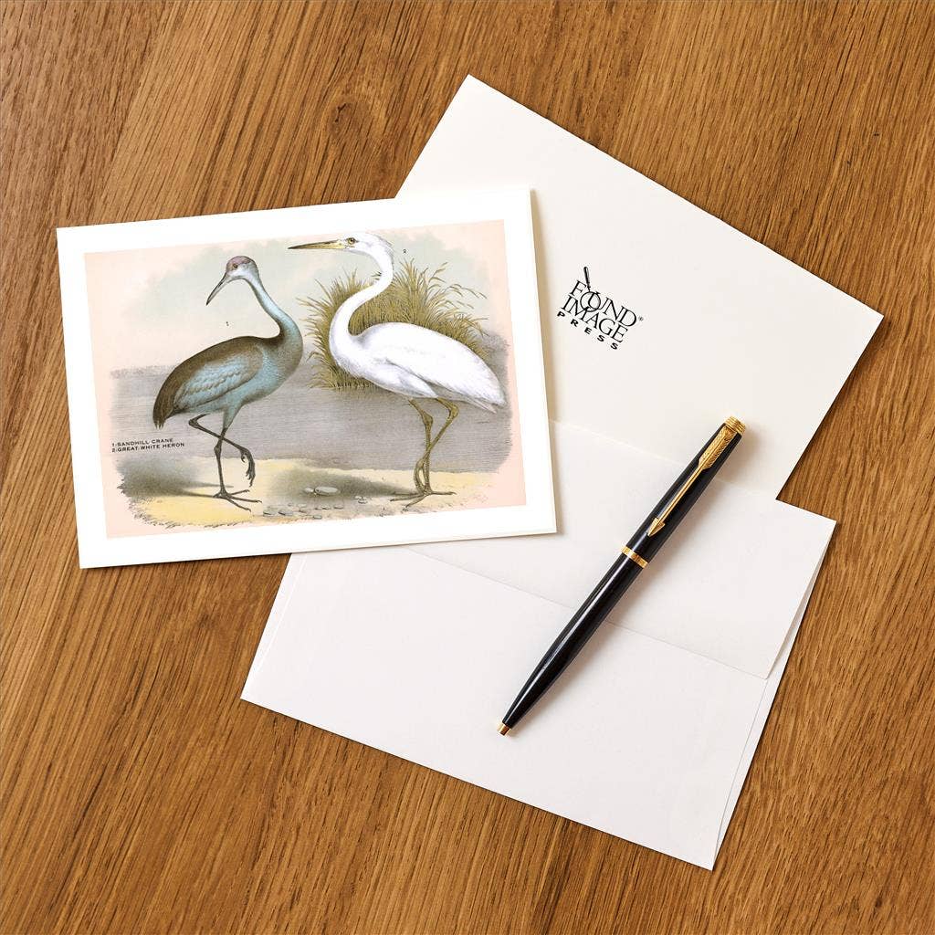 Found Image Press - Wholesale Stationery/Notecard Set - Greeting Card BD-44 Sandhill Crane, Heron1