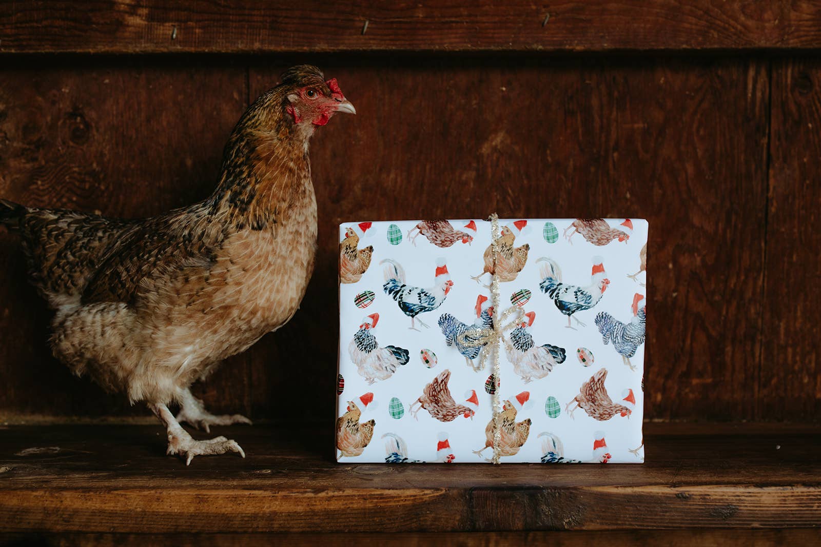 Lana's Shop - Wholesale Flat Wrap - Christmas Chickens in Santa Hats Single Sheet Gift Wrap6