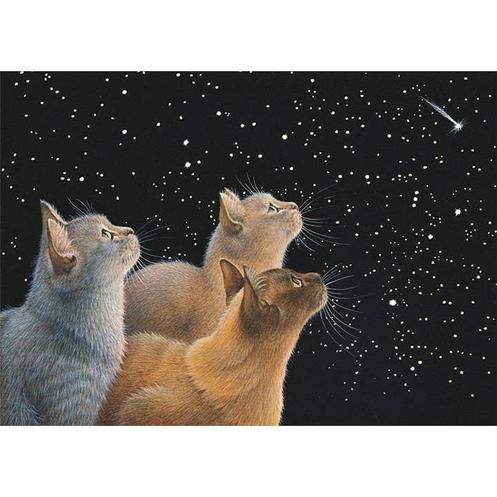 Natural Partners Limited – wholesale Everyday greeting card – Greeting Card Three Feline Dignitaries