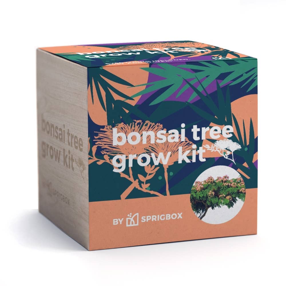 Sprigbox - Wholesale DIY Craft Kit - Bonsai Tree Grow Kit | Wooden Planter Box | Indoor Gardening