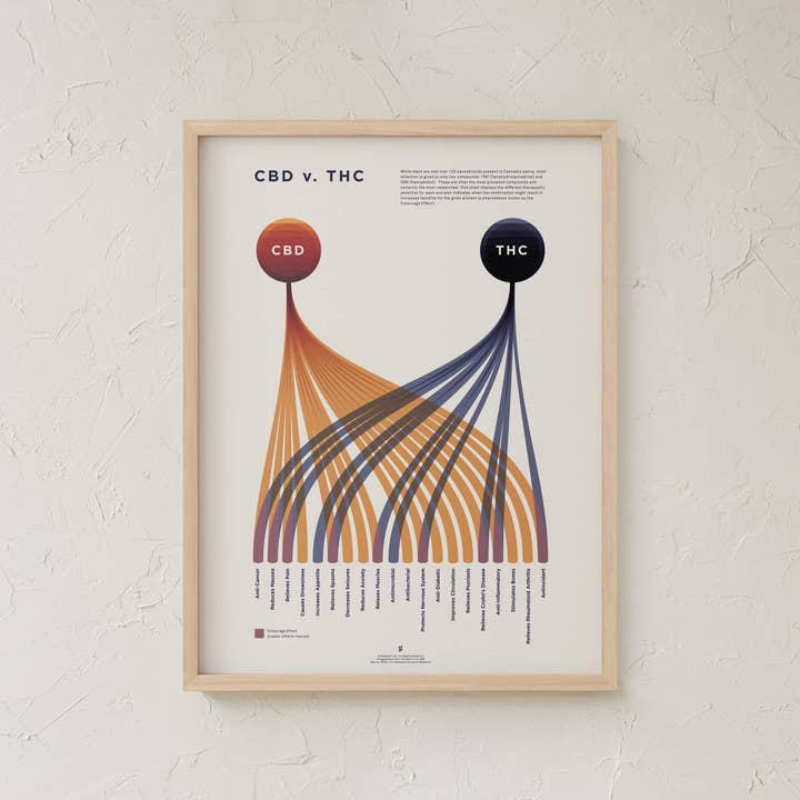 Goldleaf - Wholesale Art Print - CBD v. THC Comparison Chart Print7