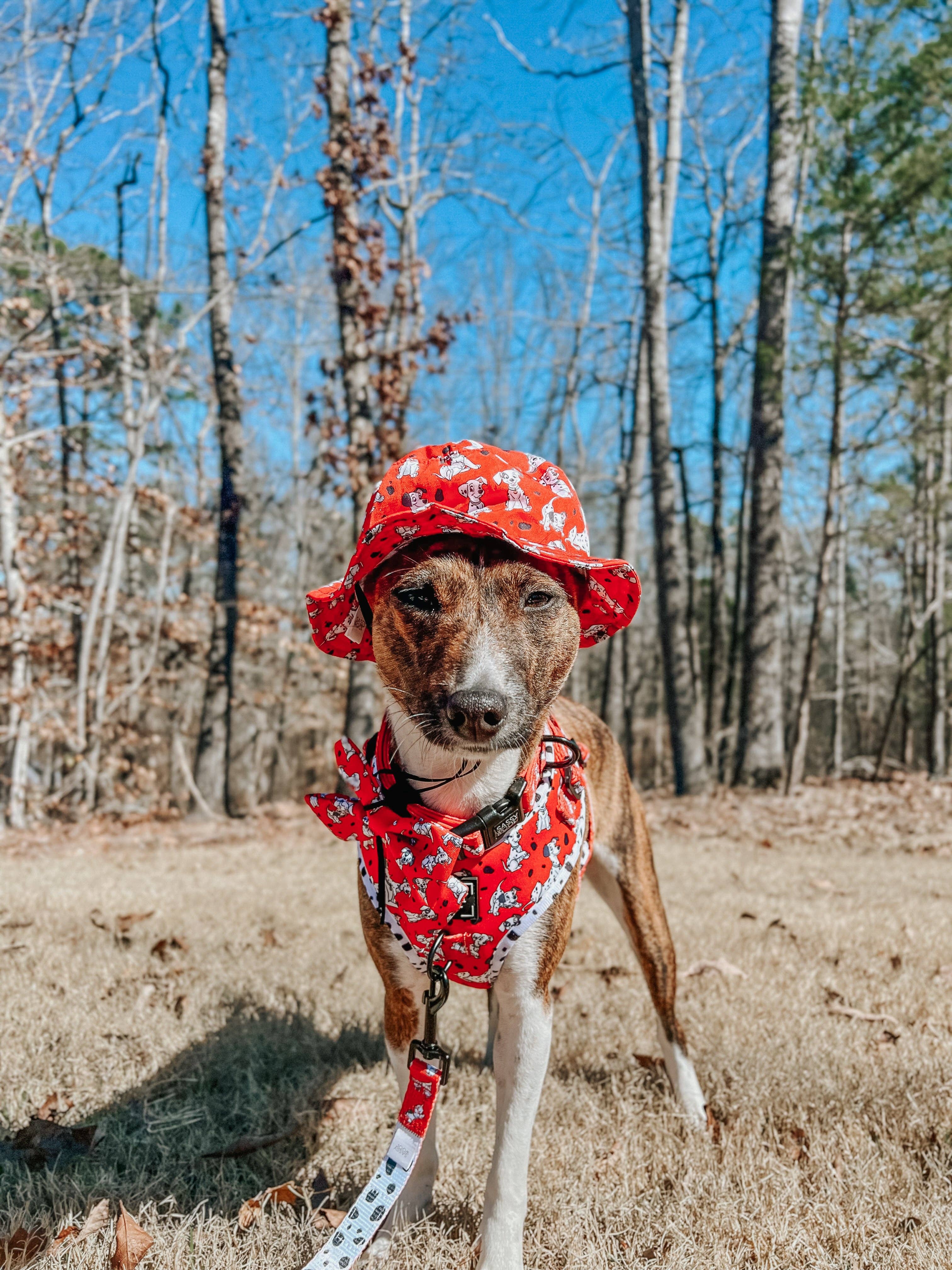 SASSY WOOF - Wholesale Pet Hat - Dog - Dog Bucket Hat - Disney's 101 Dalmatians9
