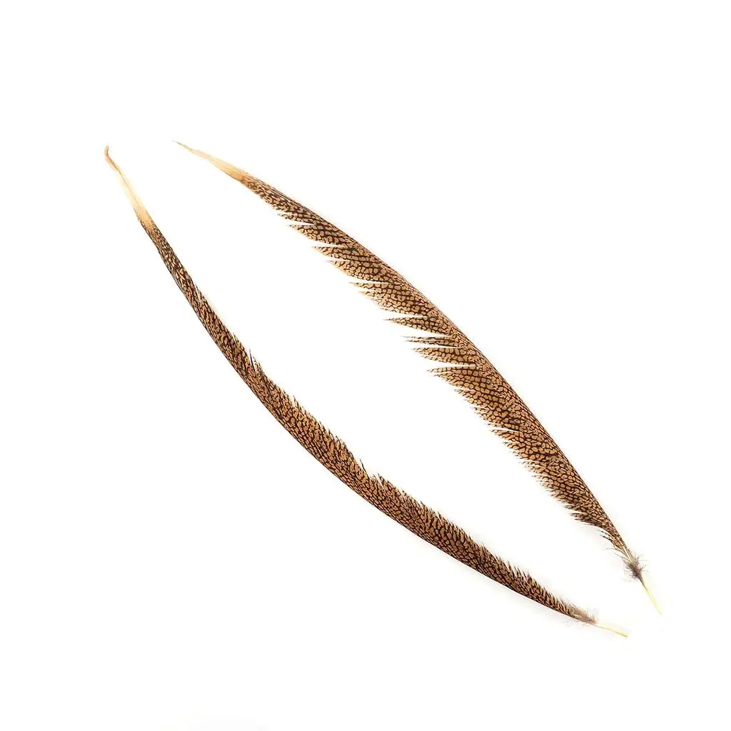 Zucker Feather Products - Wholesale Knutselbenodigdheden - 1 stuk natuurlijke gouden fazantenstaartveren van 51-76 cm4
