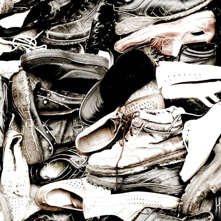 Skoträd - Sula Tapet för wholesale av Detroit Wallpaper Co.