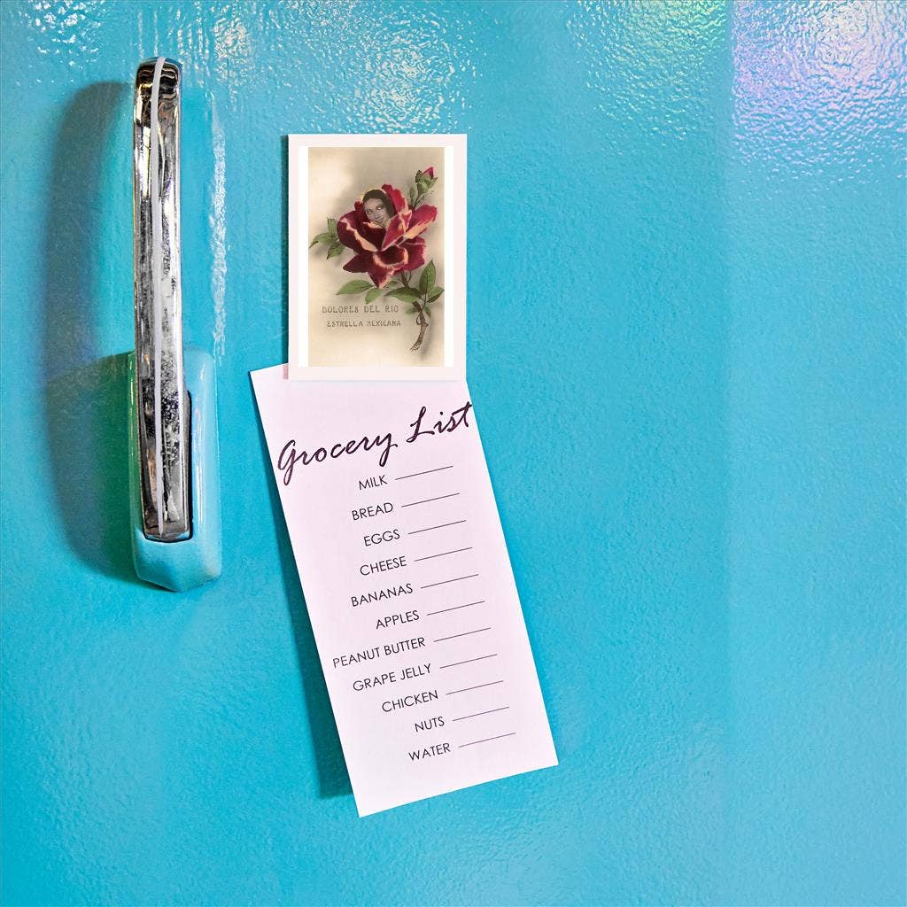 Found Image Press - Wholesale Magnet - Magnet MX-138 Dolores Del Rio, Mexican Star1