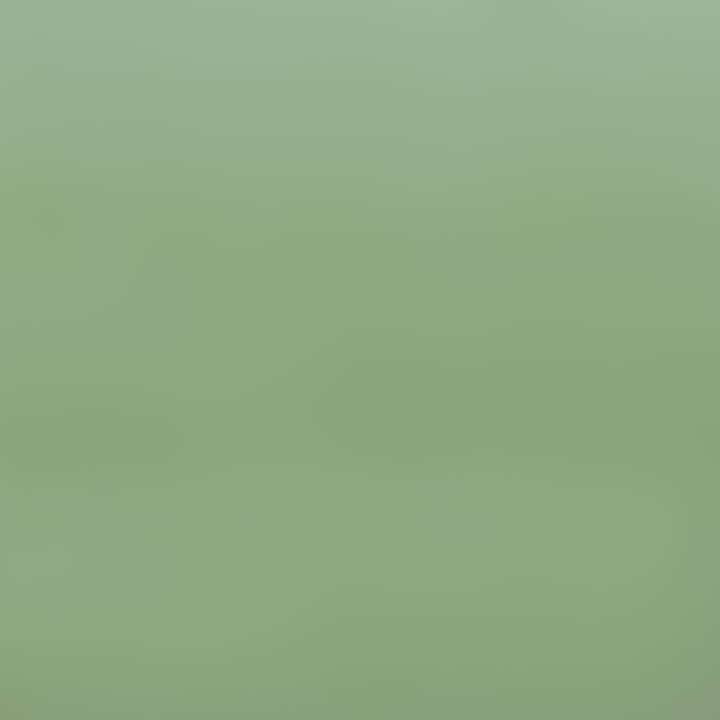 Zao Organic Make-up - Wholesale Face Concealer - Ricarica Correttore ZAO9