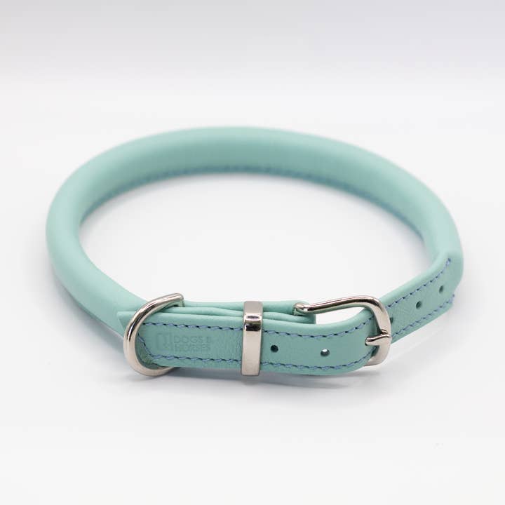 Rolled Soft Leather Dog Collar Aqua for wholesale by Dogs and Horses
