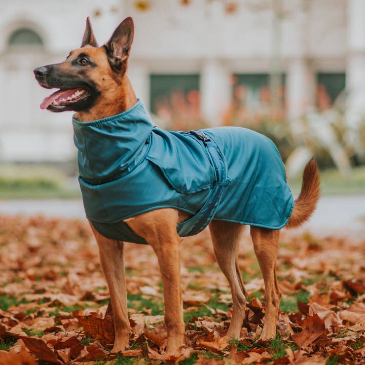 Stylish Hound - Wholesale Pet raincoat – Dog - Teal Trench Coat2