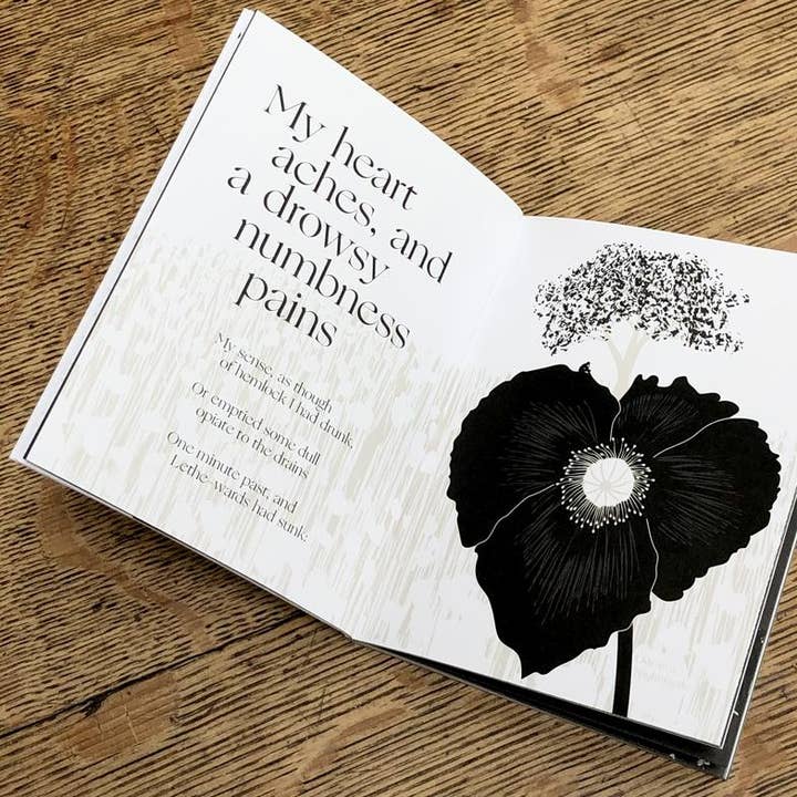 Obvious State - Wholesale Poetry & Drama - John Keats, Illustrated Book4