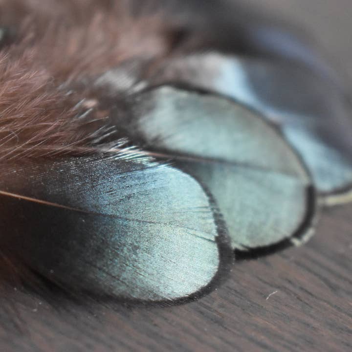 Plumes Naturelles - Wholesale Feathers - Lady Amherst Pheasant Feathers4