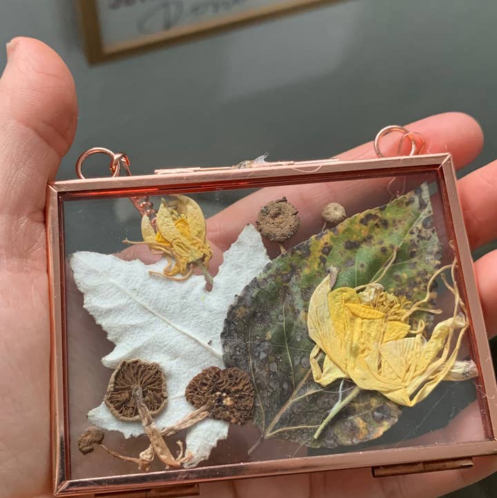 Twig and Snip - Wholesale Dried/Pressed Flowers - Miniature Pressed Flower & Fungi Windows 3.5"x 2.5"1
