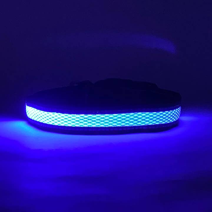 Puppy LED - Wholesale Pet Collar - Dog - LED Dog Collar
