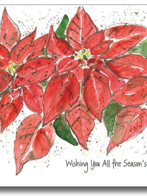 Röda Julstjärnor för wholesale av WORDS & WATERCOLORS BY PEG CONLEY