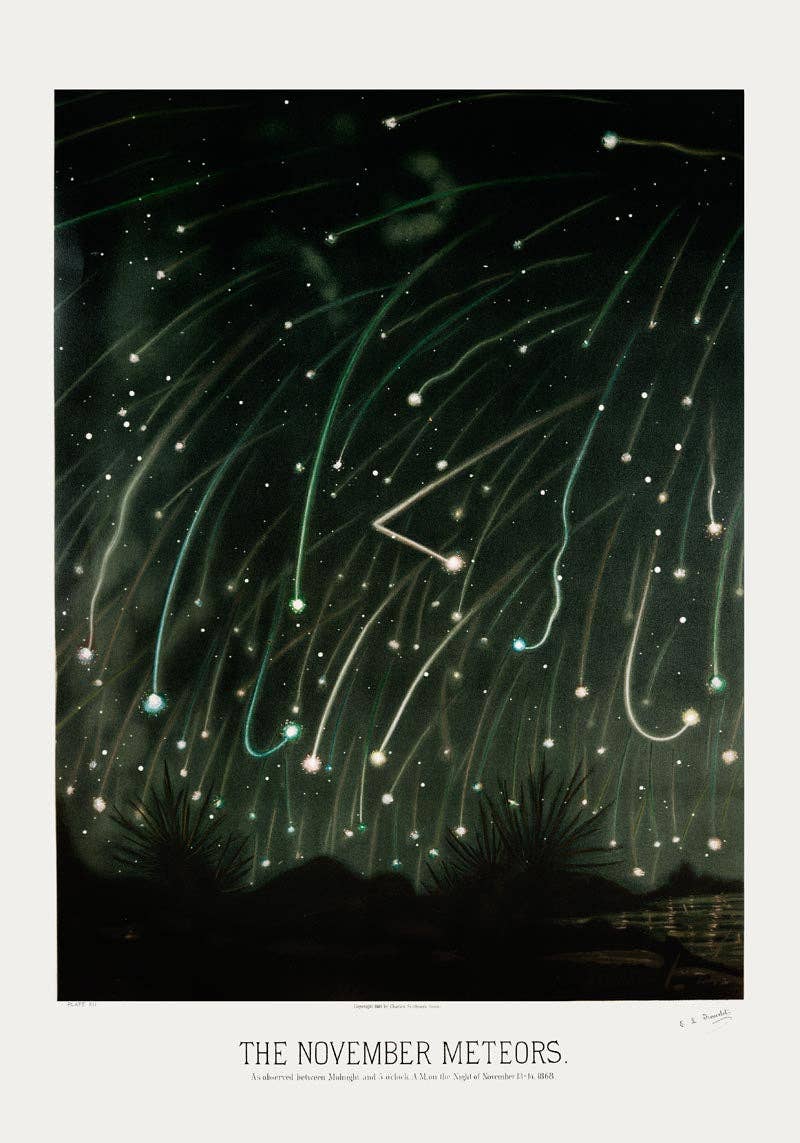 Patroa Studio - Wholesale Poster - November Meteors by Trouvelot Astronomical Poster3