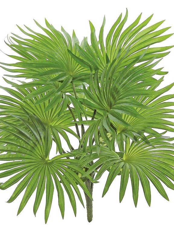 Fountain Palm Plant X10, (Natural Touch), Green for wholesale by Select Artificials, Inc.