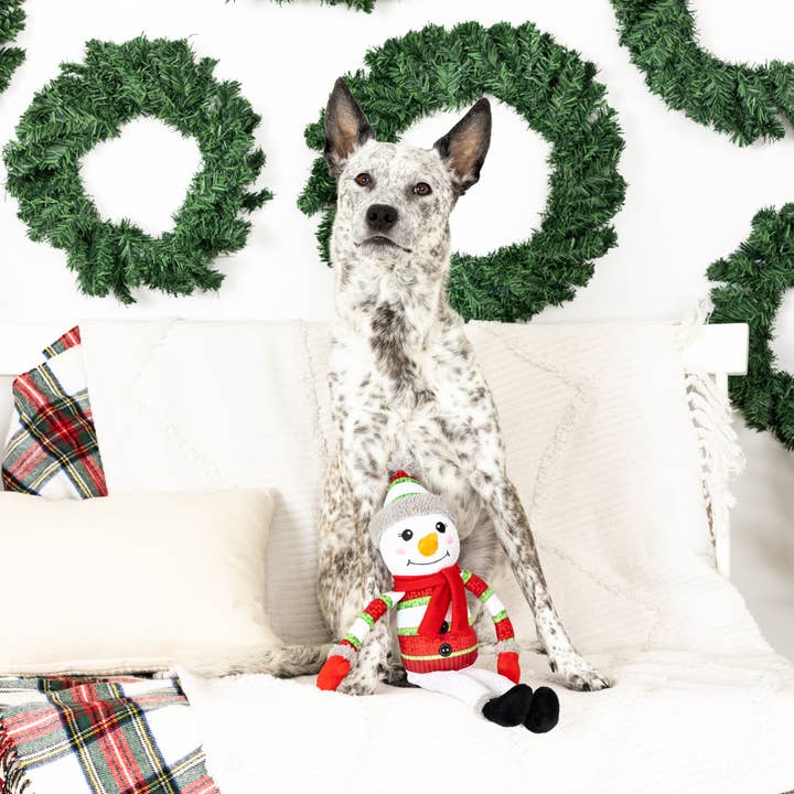 Petshop by Fringe Studio - Wholesale Pet Plush Toy - Dog - TOO CUTE TO CHILL PLUSH DOG TOY