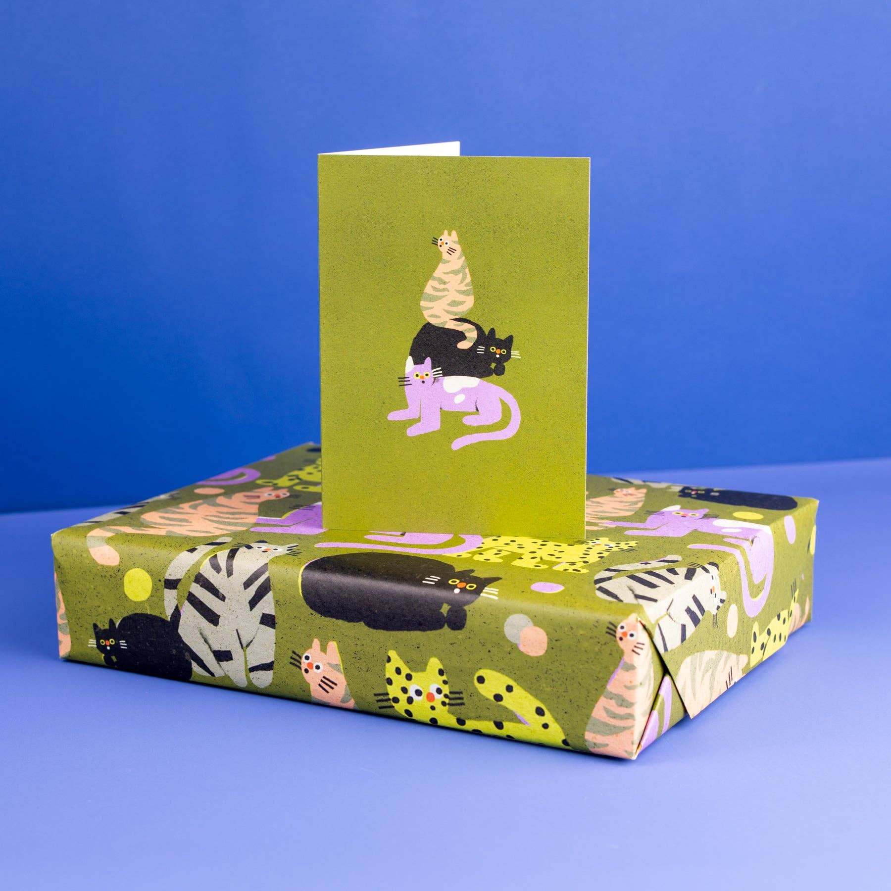 Evermade – wholesale Everyday greeting card – Suprised Cats Greetings Card by Zsófia Győrfi1