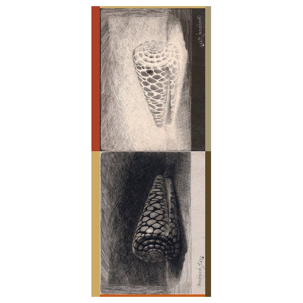 Hellen van Berkel HeartMadePrints - Wholesale Scarf - Women's - Conus scarf1