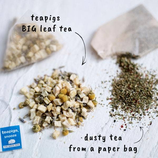 teapigs - Wholesale Tea Bags - Snooze Tea - 15 Temples2