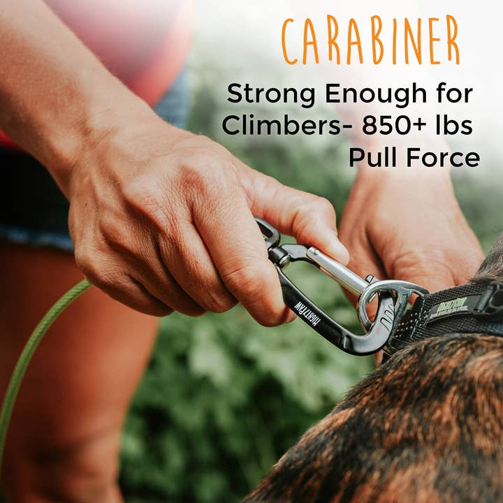 Mighty Paw - Vente Laisse – chien - Laisse de câble anti-mâcher de 6 po9