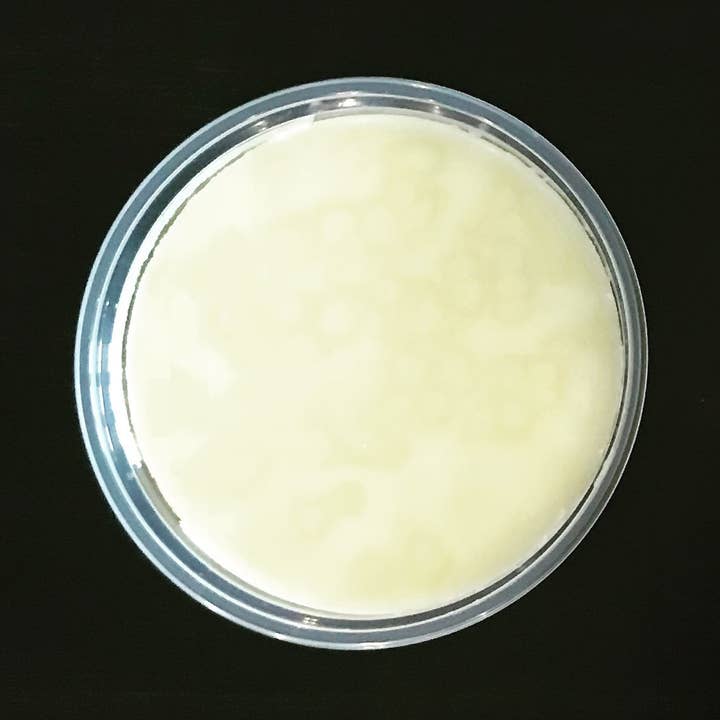 Potjes van 8 - 8 oz. In de voorverpakking van het display voor wholesale door Holland Bowl Mill