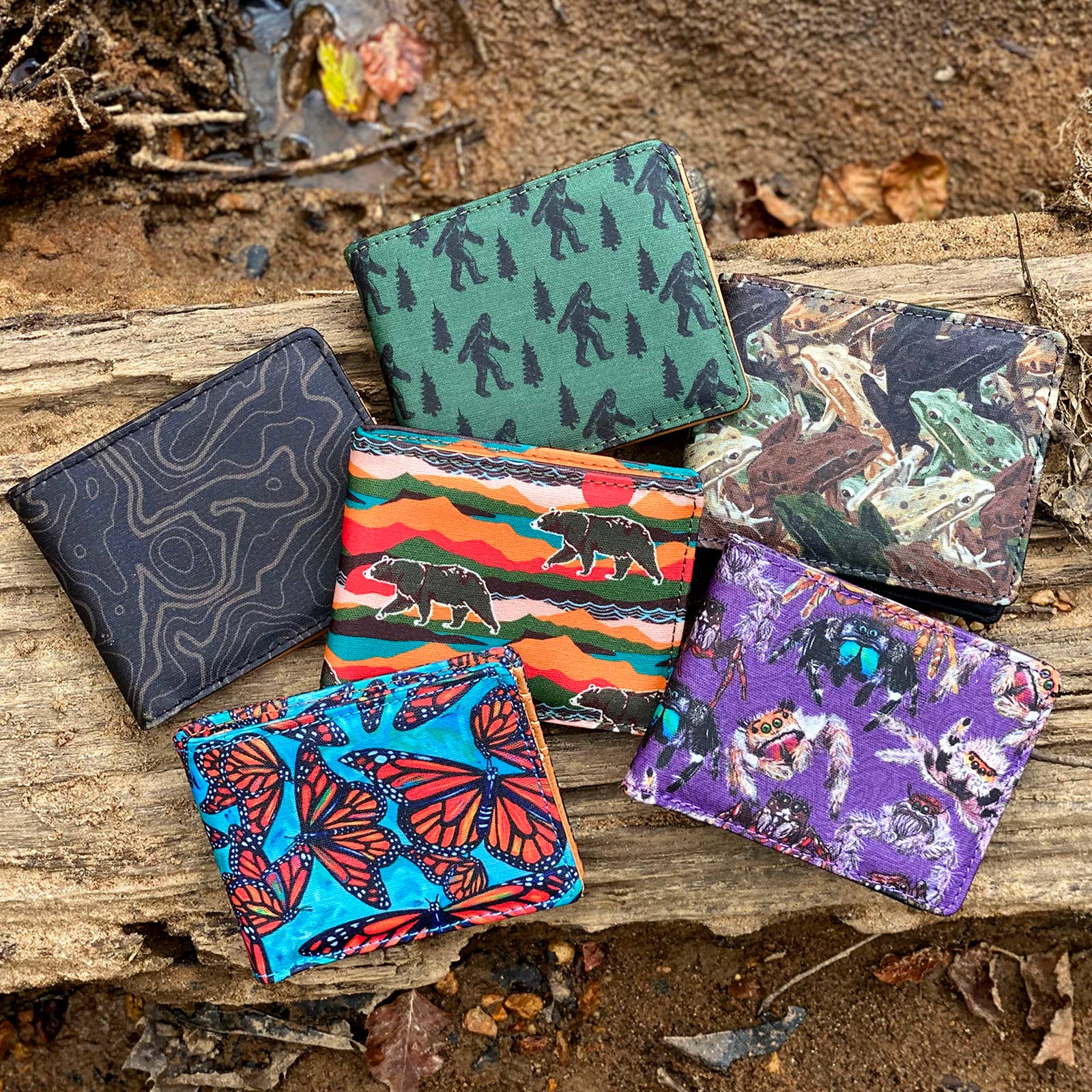 Sipsey Wilder – Großhandel Brieftasche – Damen – Jumping Spiders Faltbrieftasche7