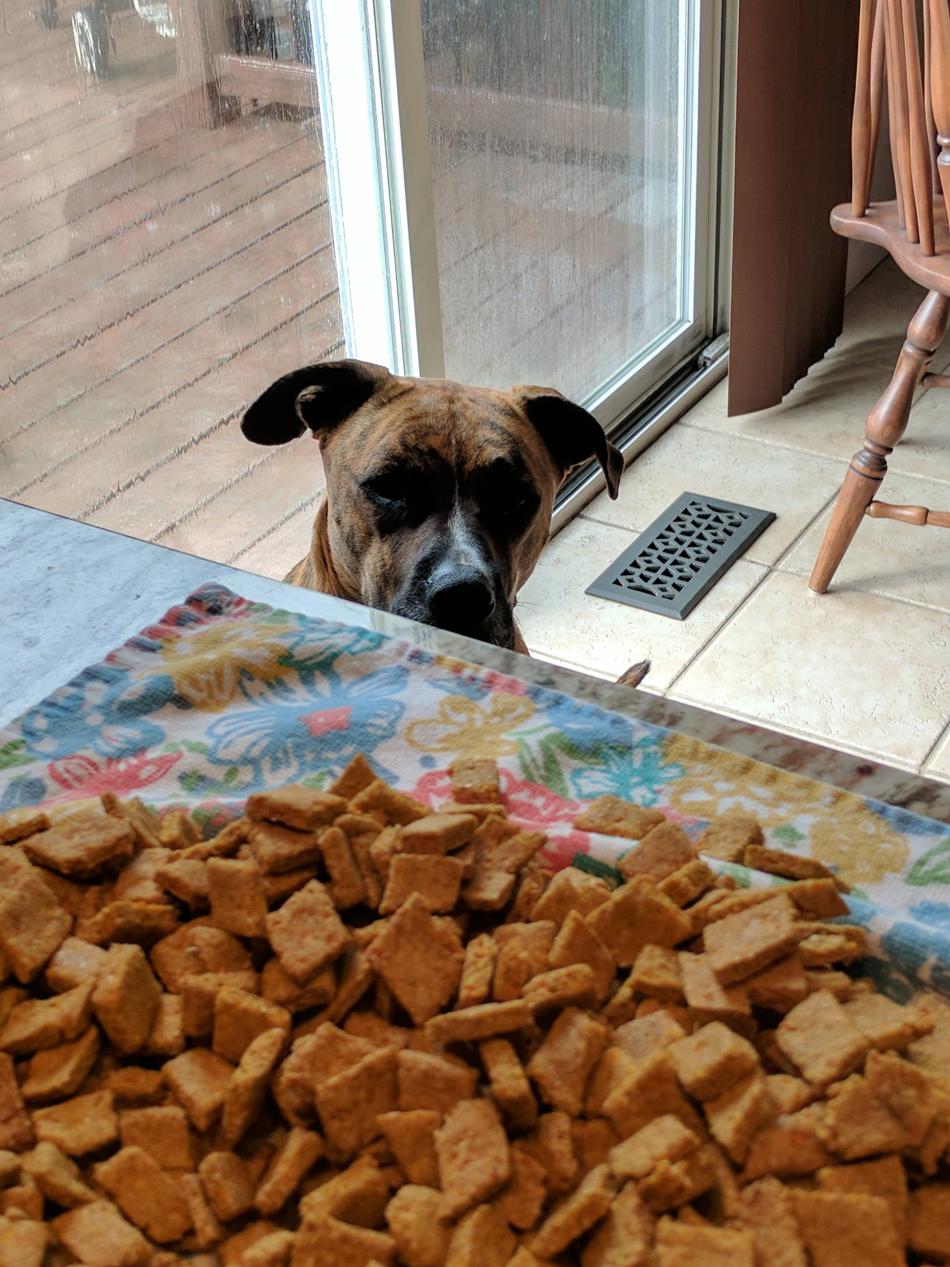 Charlie's Treats Bakery - Wholesale Pet Treats - Dog - Salmon Snacks - 1 lb.2