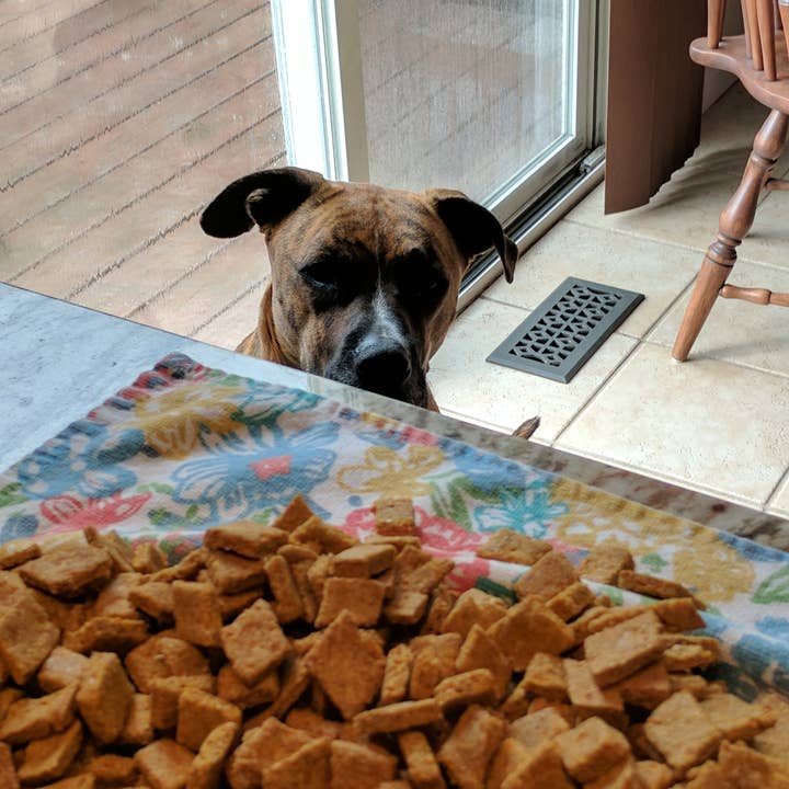 Charlie's Treats Bakery - Wholesale Pet Treats - Dog - Beef & Carrot Treats - 10 oz.4