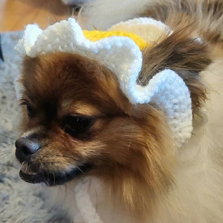 Glitter Ghost Clothing and Accessories – wholesale Pet hat – Dog – Crochet Fried Egg Hat - Cat Hat - Pet Hat - Made to order2
