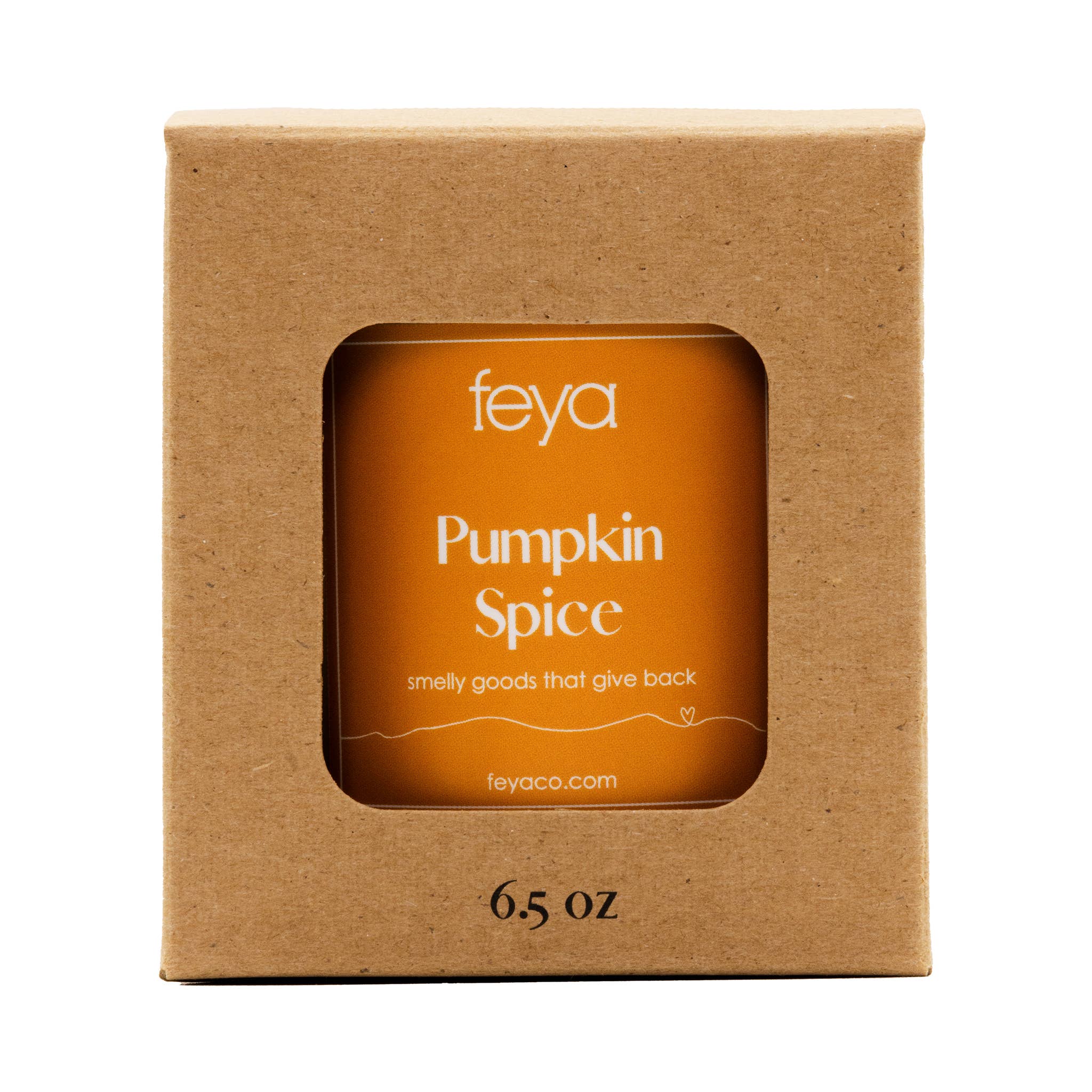 Feya Co. – wholesale Burkljus – Pumpa krydda ljus 6,5 oz1