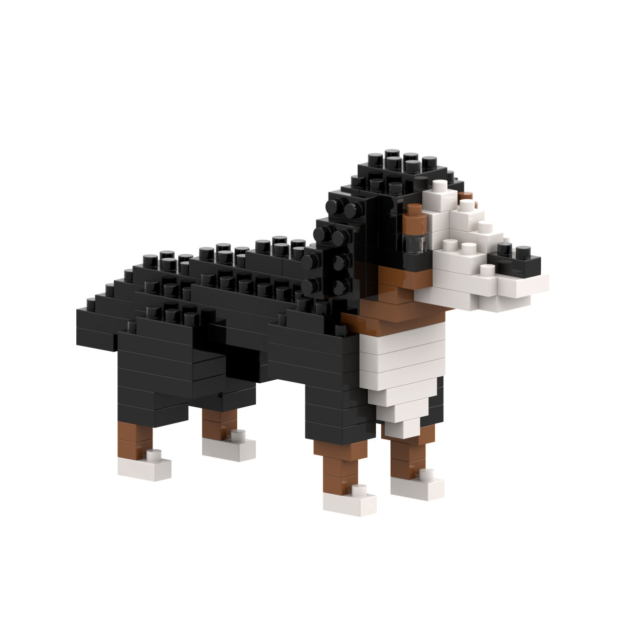 Brixies - Wholesale Build-a-Toy - Kids - BRIXIES Saint Bernard0