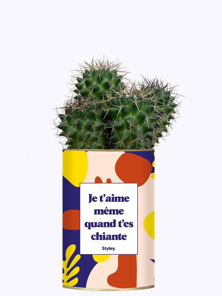 Je T'aime Même Quand T'es Chiante - Cactus for wholesale by Styley
