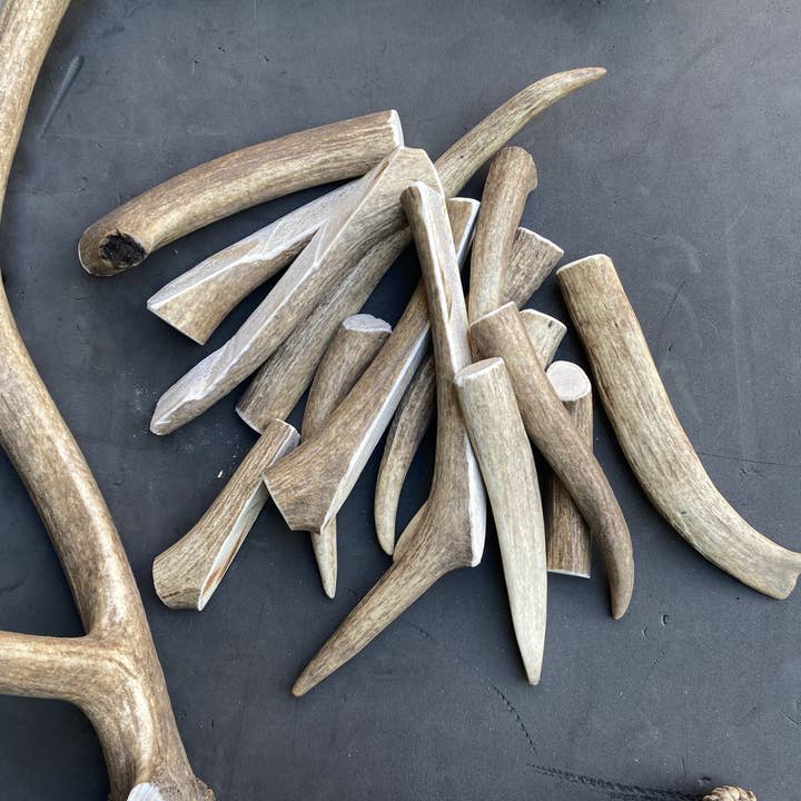 Sawtooth Antler Chews - Wholesale Pet Chew Toy - Dog - Dog Antler Chews22