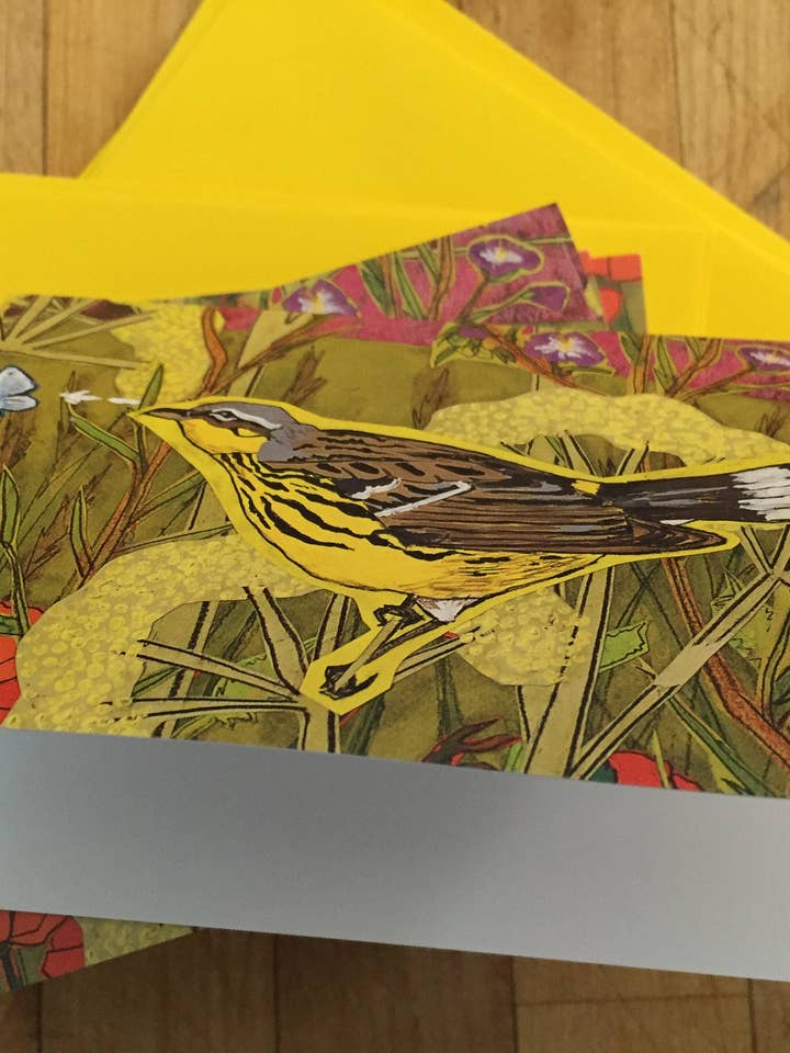 Bird And Moth Boxed Blank Note Cards for wholesale by Sunde White Industries