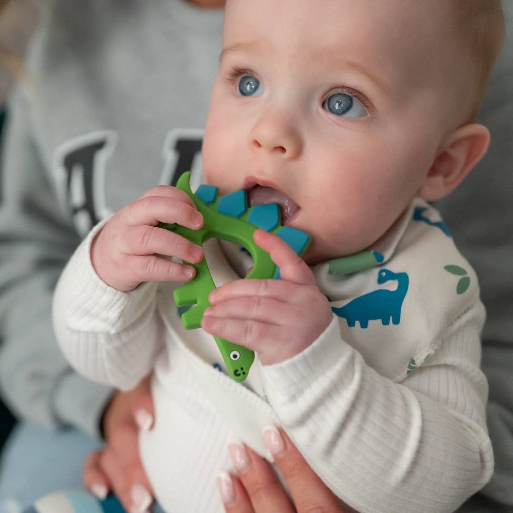 Ziggle Baby - Wholesale Teether (Not Clip-On) - Baby - Dinosaur Teether Silicone4