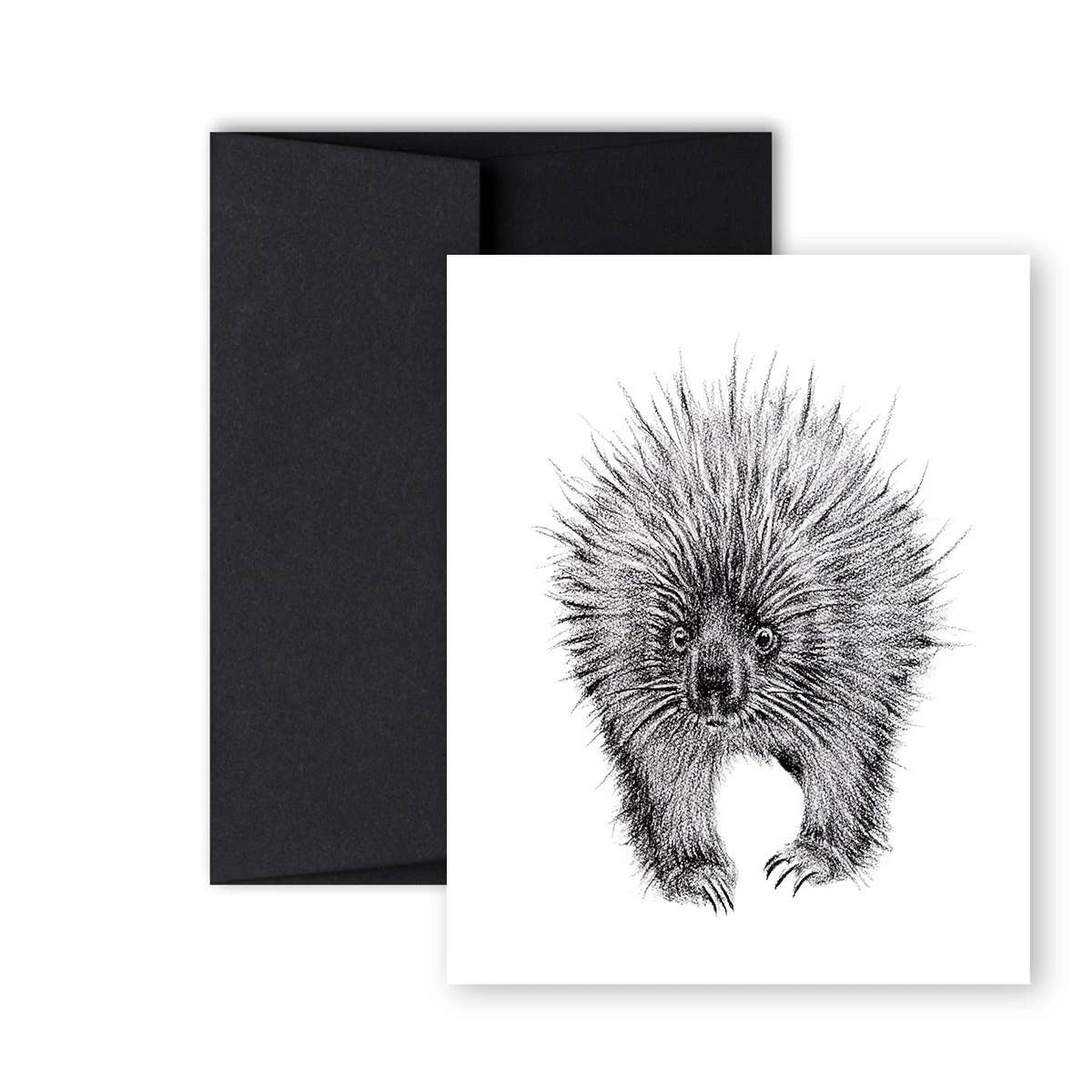 LE NID atelier - Wholesale Everyday Greeting Card - Porcupine Front And Back Greeting Card1