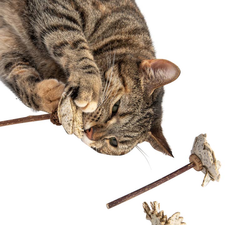 Natural Cat Toy - Wholesale Pet Toy - Cat - Rose Catnip Paper Flower4